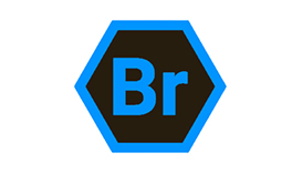 BRViewer Plus